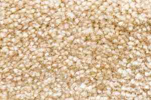 Ковролин AW Masquerade Gaudia 32 фото  | FLOORDEALER